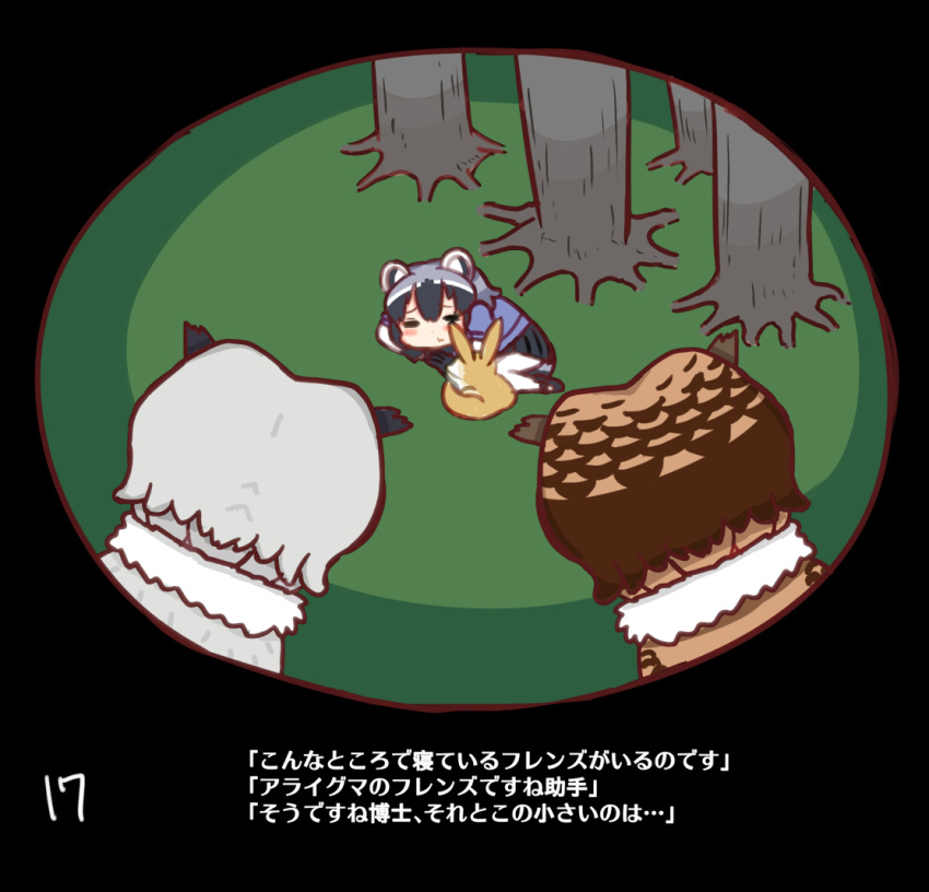 3girls animal_ears closed_eyes comic common_raccoon_(kemono_friends) eurasian_eagle_owl_(kemono_friends) fennec_(kemono_friends) fennec_fox kemono_friends lying multiple_girls northern_white-faced_owl_(kemono_friends) page_number raccoon_ears shima_noji_(dash_plus) sleeping translated tree