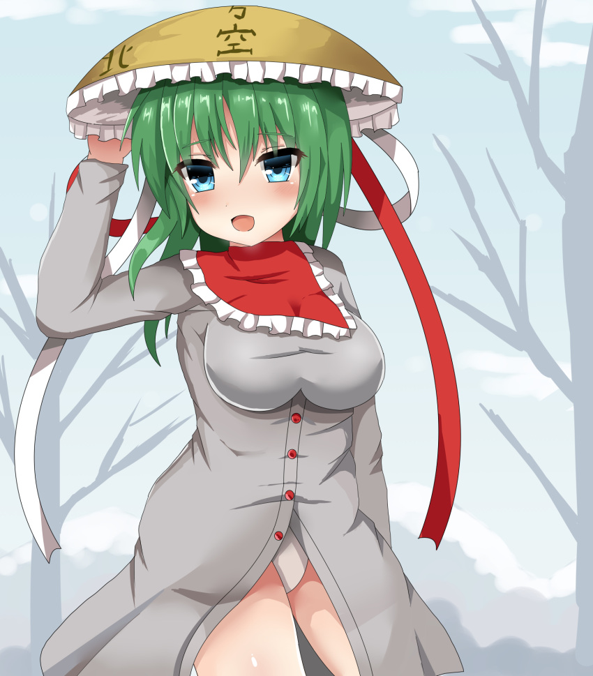 1girl ajirogasa arm_at_side bare_tree blue_eyes blue_sky blush breasts capelet clouds contrapposto cosplay day dress green_hair grey_dress guard_bento_atsushi hand_on_headwear hat hat_ribbon highres impossible_clothes impossible_dress long_sleeves looking_at_viewer medium_breasts mountain open_mouth outdoors panties pantyshot pantyshot_(standing) red_capelet red_ribbon ribbon shiki_eiki short_hair sky smile solo standing touhou tree underwear white_panties white_ribbon yatadera_narumi yatadera_narumi_(cosplay)