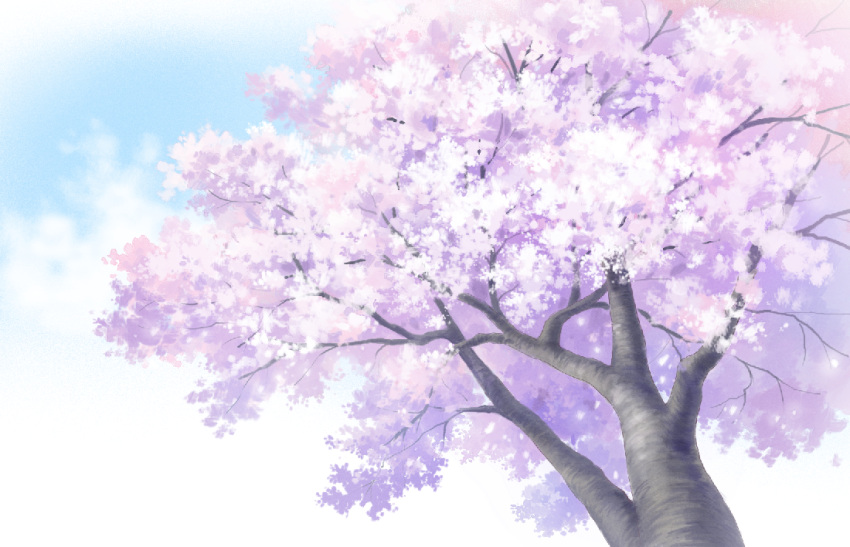 blue_sky cherry_blossoms clouds cloudy_sky commentary_request day no_humans outdoors scenery sky stream_(stream1129) tree