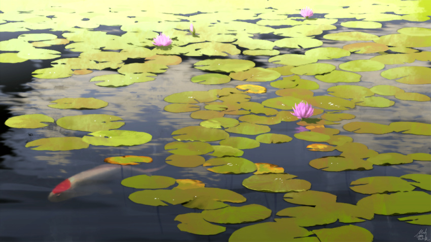 commentary_request day flower koi lake lotus mocha_(cotton) no_humans original outdoors reflection scenery signature water_surface