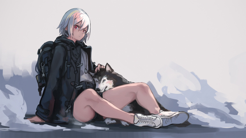1girl arm_support backpack bag bangs bare_legs closed_mouth coat dog earrings hair_between_eyes highres jewelry looking_at_viewer necklace original red_eyes shiroi_suzume shoes short_hair short_shorts shorts sitting solo white_hair