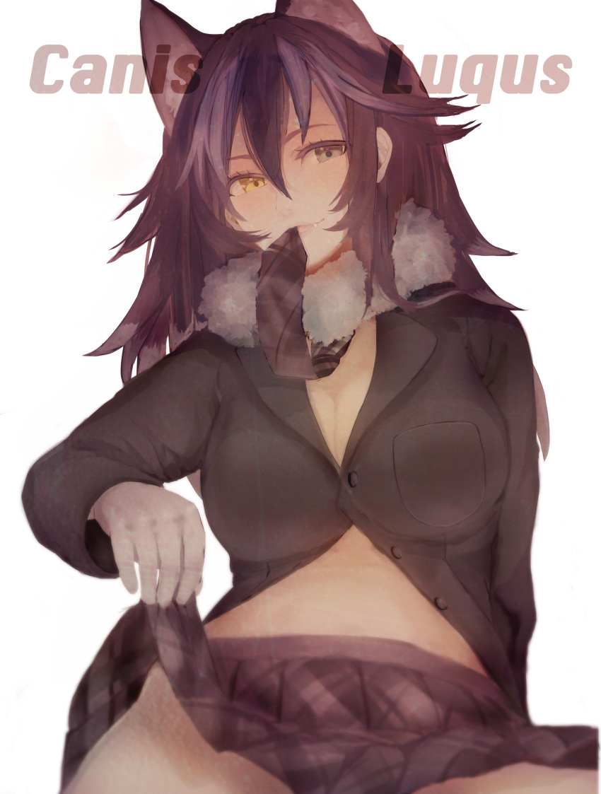 1girl absurdres ancolatte_(onikuanco) animal_ears black_hair blue_eyes breasts buttons character_name cleavage fang fur_collar gloves grey_wolf_(kemono_friends) heterochromia highres kemono_friends large_breasts latin long_hair long_sleeves looking_at_viewer multicolored_hair necktie_on_mouth skirt skirt_lift smile solo two-tone_hair white_background white_gloves wolf_ears yellow_eyes