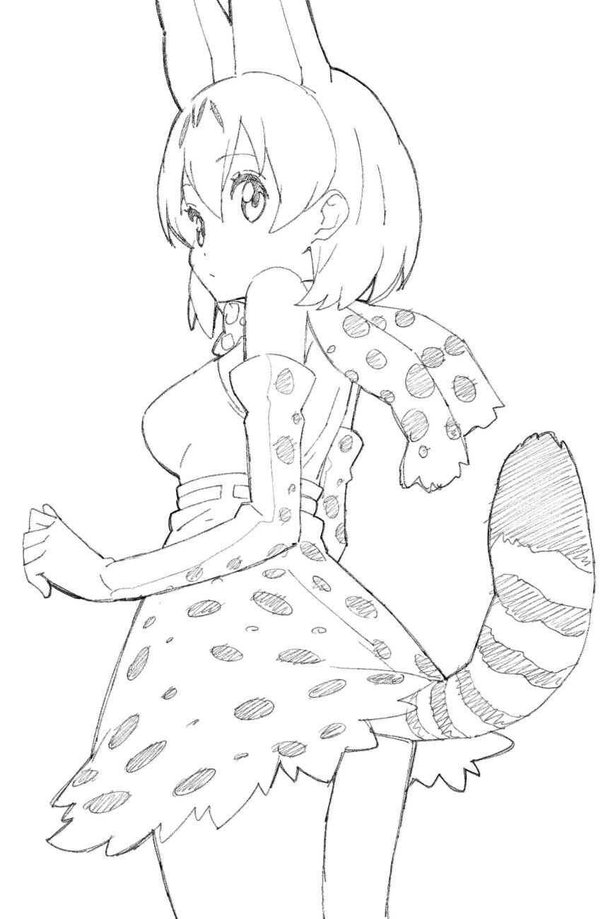 1girl absurdres animal_ears bare_shoulders bow bowtie breasts cowboy_shot donguri_suzume elbow_gloves eyebrows_visible_through_hair gloves greyscale high-waist_skirt highres kemono_friends looking_at_viewer looking_back medium_breasts monochrome serval_(kemono_friends) serval_ears serval_print serval_tail short_hair simple_background skirt solo standing tail white_background