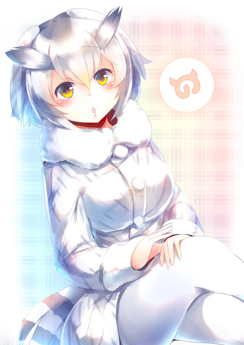 1girl :o absurdres bird_tail blue_background blush buttons coat commentary_request eyebrows_visible_through_hair feathers fur_trim grey_coat grey_hair hair_between_eyes hands_on_lap highres japari_symbol kanzakietc kemono_friends long_sleeves looking_at_viewer multicolored_hair northern_white-faced_owl_(kemono_friends) pantyhose pink_background short_hair solo tail two-tone_background white_legwear yellow_eyes