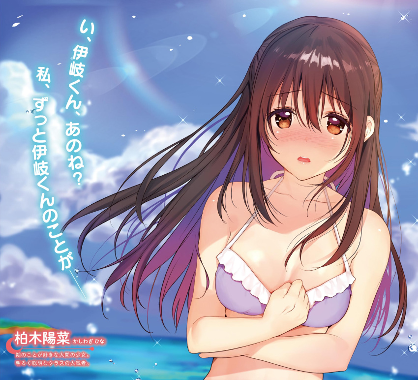 1girl bikini_top blue_sky blurry breasts brown_eyes brown_hair collarbone cropped day depth_of_field eyebrows_visible_through_hair fisheye hair_between_eyes halterneck hand_on_own_chest highres lens_flare long_hair looking_at_viewer lossy-lossless matarou_(genkai_toppa) novel_illustration open_mouth outdoors purple_bikini_top rainbow sky small_breasts solo tsuki_to_usagi_no_folklore. water_drop