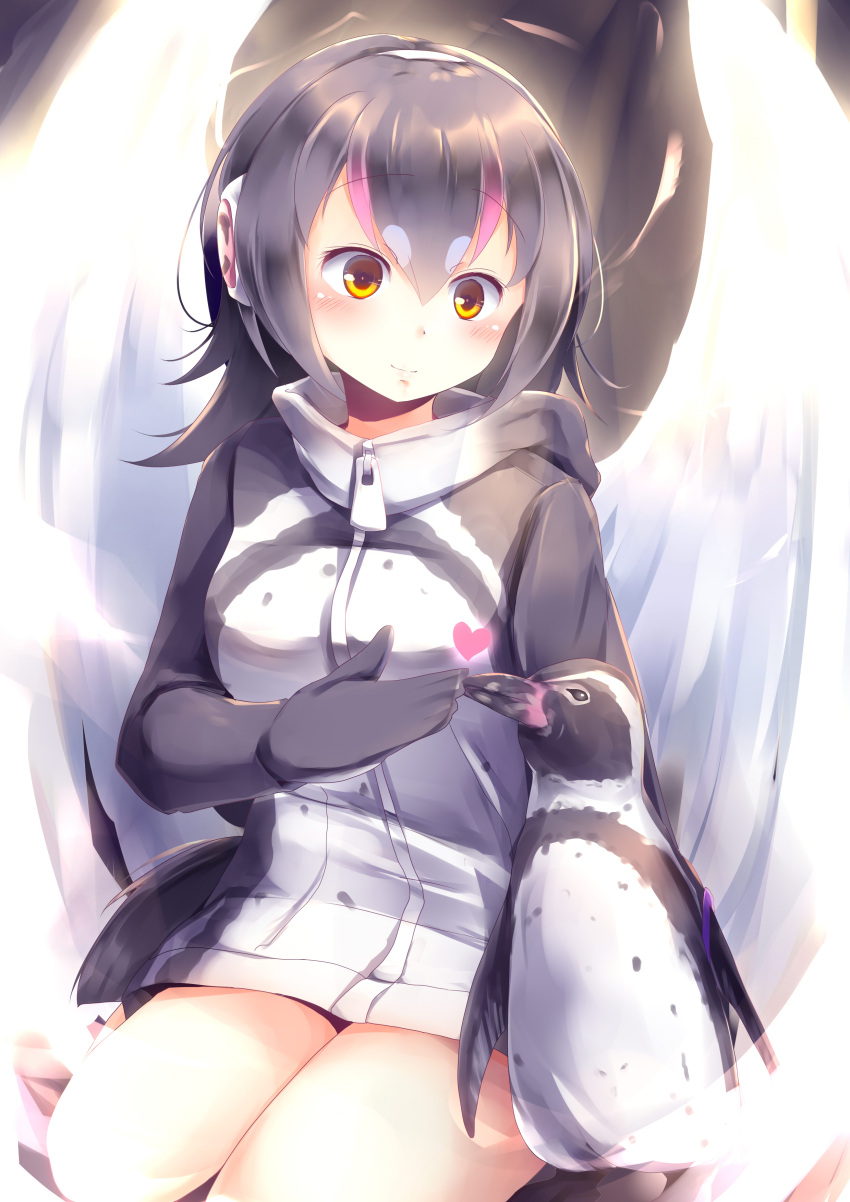 1girl absurdres angel_wings animal bird bird_tail black_hair commentary grape-kun headphones heart highres hood hood_down hooded_jacket humboldt_penguin_(kemono_friends) jacket kanzakietc kemono_friends multicolored_hair orange_eyes penguin pink_hair sitting smile wings