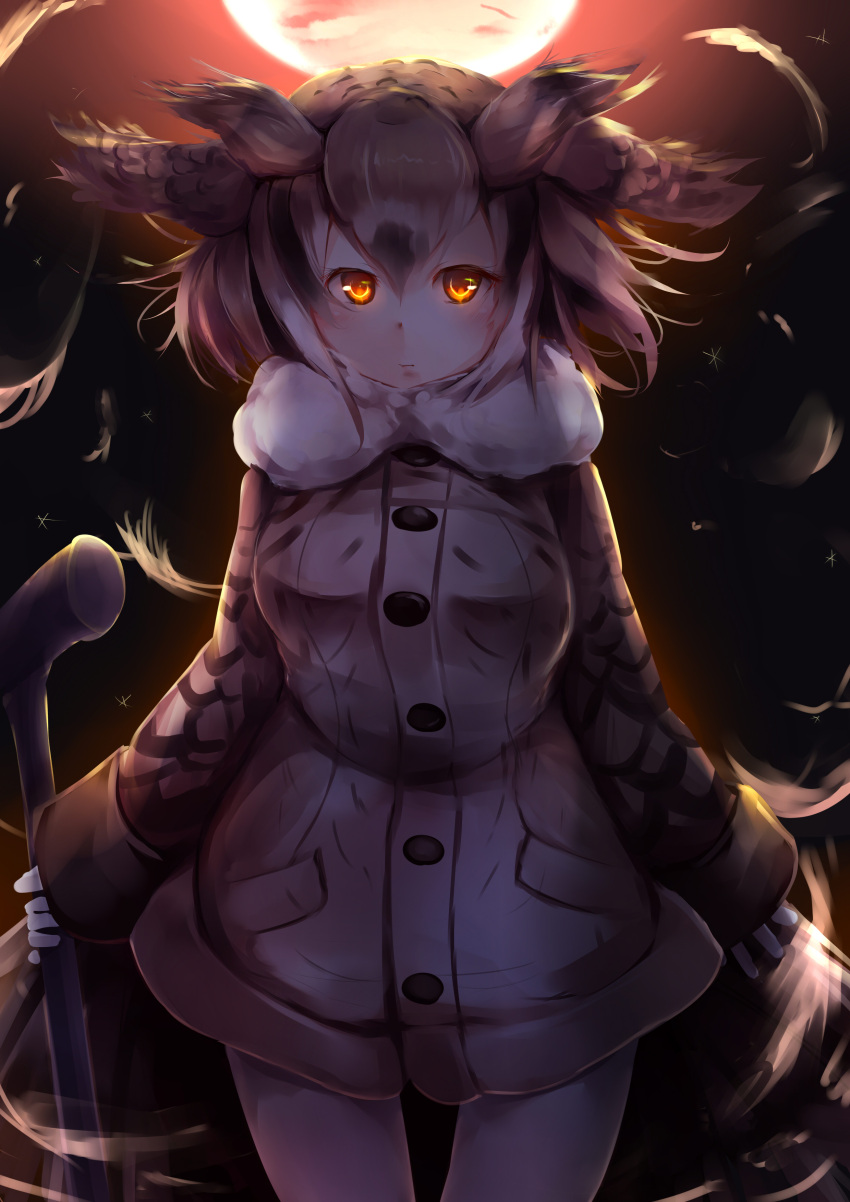 1girl :| absurdres bangs bird_wings black_hair blush breasts brown_coat brown_hair buttons closed_mouth coat cowboy_shot eurasian_eagle_owl_(kemono_friends) eyelashes facing_viewer feather_trim feathered_wings feathers floating_hair gloves glowing glowing_eyes hair_between_eyes head_wings highres holding kanzakietc kemono_friends large_breasts legs_apart light long_sleeves looking_at_viewer moonlight multicolored_hair night night_sky no_eyebrows orange_eyes outdoors pantyhose pickaxe pocket short_hair sky solo standing star_(sky) starry_sky white_gloves white_hair white_legwear wings