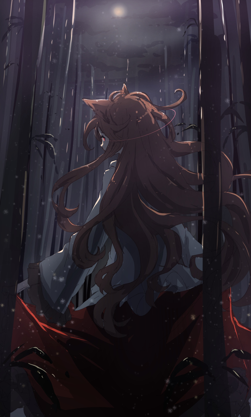 1girl absurdres animal_ears bamboo bamboo_forest blue_shirt brown_hair darjeeling_(reley) dark forest highres imaizumi_kagerou long_hair long_sleeves looking_at_viewer looking_back moon moonlight nature night night_sky red_eyes red_skirt shirt skirt sky solo tail touhou wide_sleeves wolf_ears wolf_tail