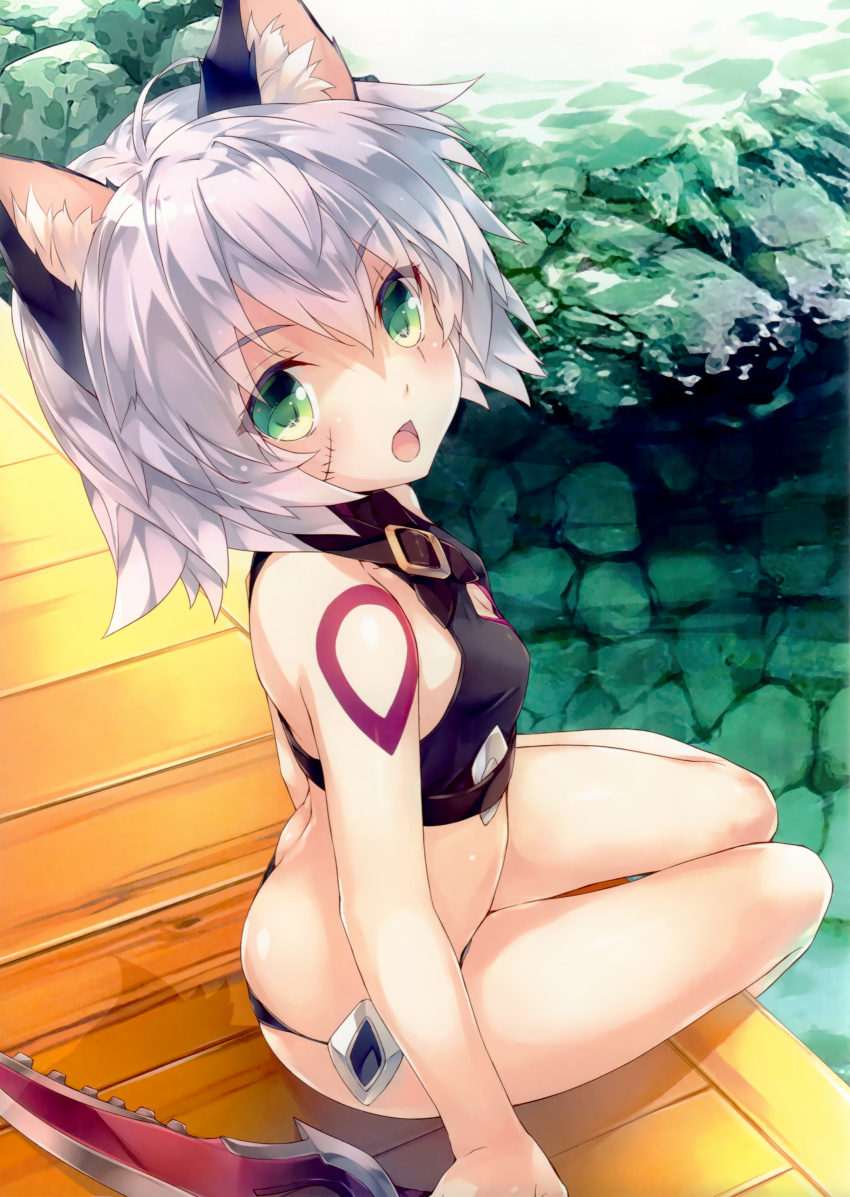 1girl absurdres amami_mikihiro animal_ears ass assassin_of_black bangs bare_legs bare_shoulders black_panties breasts butt_crack cat_ears cleavage cropped detexted eyebrows_visible_through_hair fate/apocrypha fate_(series) gloves green_eyes highres holding holding_weapon kemonomimi_mode knife looking_at_viewer looking_back midriff open_mouth outdoors panties scar short_hair silver_hair sitting small_breasts solo swimsuit tattoo underwear water weapon
