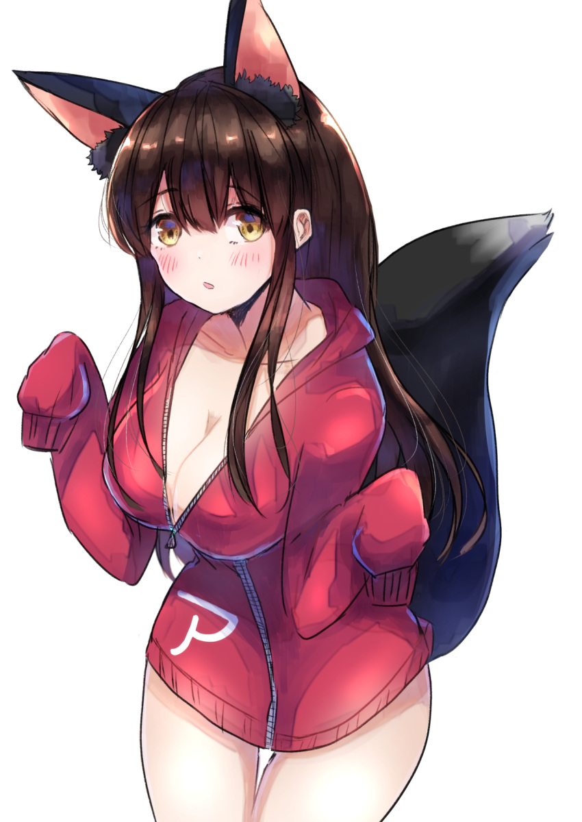1girl :o akagi_(kantai_collection) alternate_costume animal_ears bangs blush breasts brown_hair cleavage collarbone cowboy_shot eyebrows_visible_through_hair hands_in_sleeves highres jacket kantai_collection large_breasts leaning_forward long_hair long_sleeves mochiko_(mocchikkoo) open_mouth partially_unzipped red_jacket sidelocks simple_background sketch solo standing straight_hair tail tareme thigh_gap thighs w_arms white_background wolf_ears wolf_tail yellow_eyes zipper