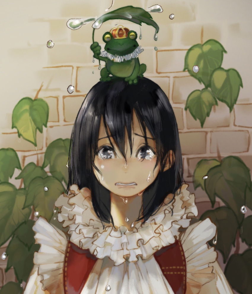 1girl animal animal_on_head black_eyes black_hair clothed_animal collar commentary_request crown crying day dress frilled_collar frills frog frog_prince grimm's_fairy_tales hair_between_eyes highres holding holding_leaf leaf looking_at_viewer on_head parted_lips rain red_vest sad sako_(user_ndpz5754) tears vest water_drop white_dress