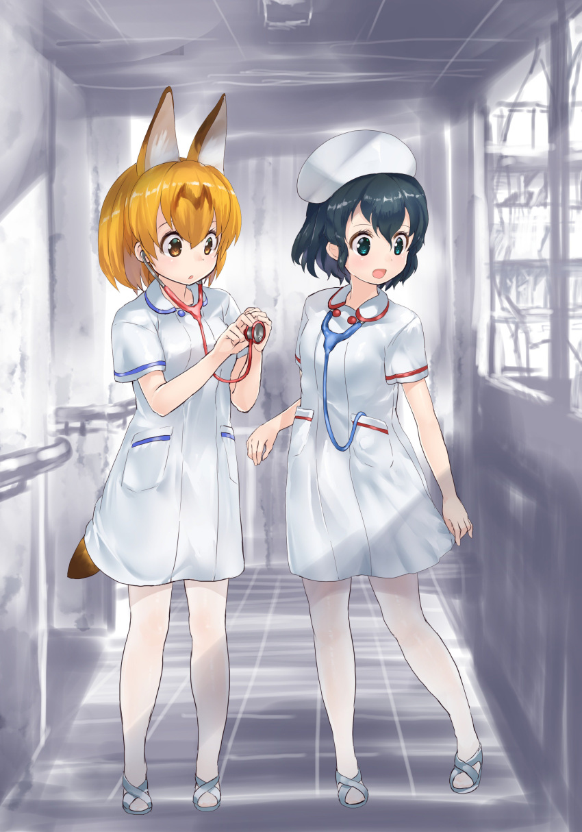 2girls :d absurdres alternate_costume alternate_headwear alternate_legwear animal_ears black_hair brown_eyes commentary extra_ears full_body green_eyes hat highres indoors kaban_(kemono_friends) kemono_friends looking_away multiple_girls nurse nurse_cap open_mouth orange_hair pantyhose sandals serval_(kemono_friends) serval_ears serval_tail short_hair short_sleeves smile stethoscope tadano_magu tail white_legwear window