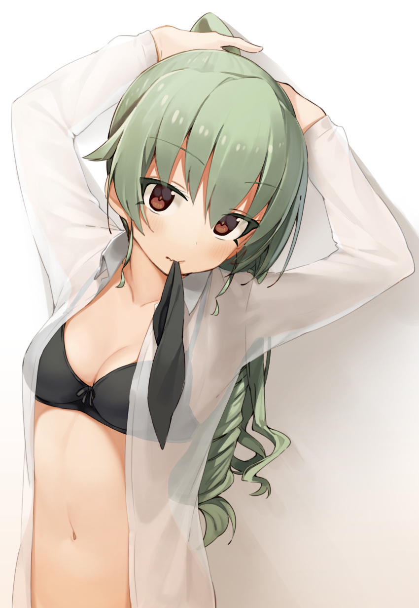 1girl absurdres anchovy arms_up black_bra blush bra breasts brown_eyes cleavage collared_shirt commentary_request eyebrows_visible_through_hair girls_und_panzer green_hair highres long_hair looking_at_viewer medium_breasts mouth_hold navel open_clothes open_shirt ponytail ringlets see-through seramikku shirt solo stomach underwear upper_body white_shirt wing_collar
