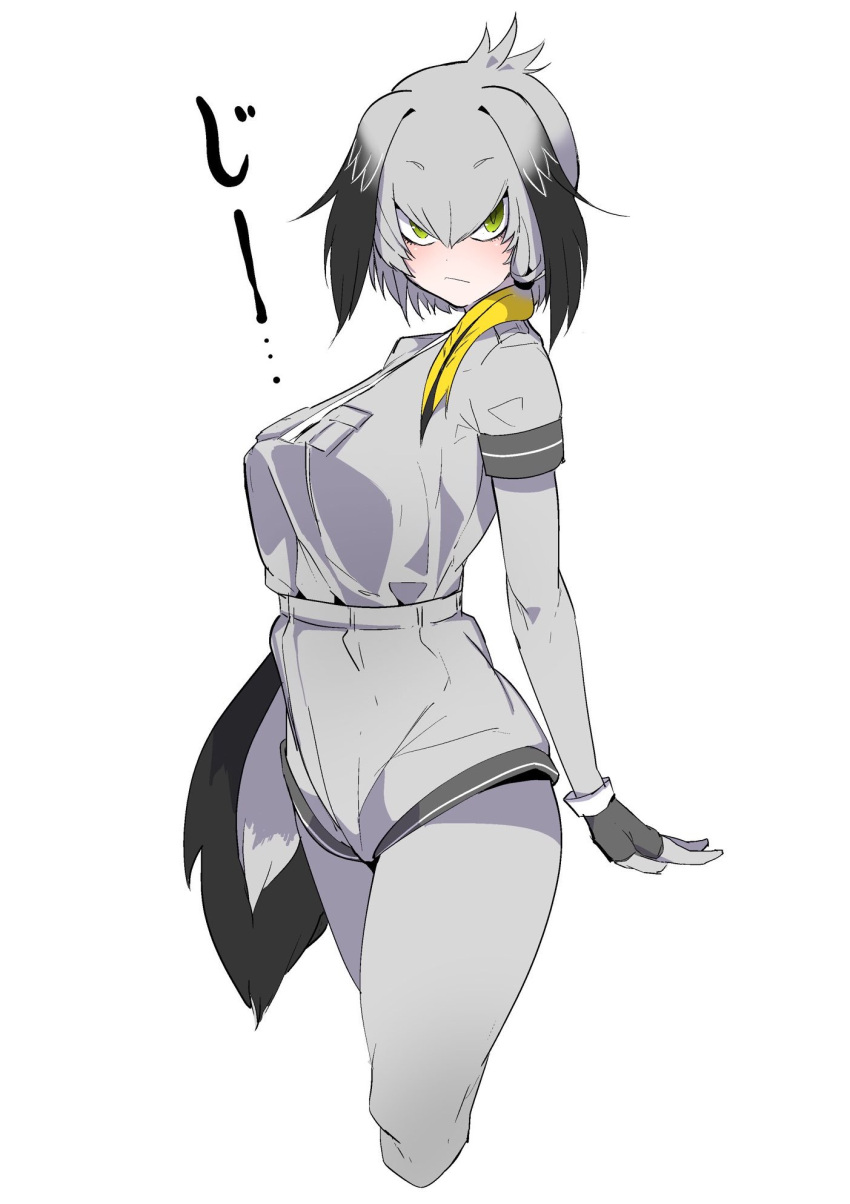 1girl black_gloves blush breasts closed_mouth commentary cropped_legs eyebrows_visible_through_hair fingerless_gloves gloves green_eyes grey_hair grey_jacket grey_legwear grey_shorts hair_between_eyes hair_over_one_eye highres jikatarou jitome kemono_friends large_breasts long_hair long_sleeves looking_at_viewer multicolored_hair necktie pantyhose ponytail shoebill_(kemono_friends) short_over_long_sleeves short_sleeves shorts simple_background solo standing white_background white_necktie