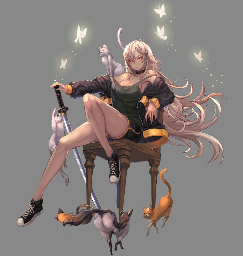 1girl absurdres bangs black_footwear breasts butterfly cat chair cleavage closed_mouth converse floating_hair grey_background grey_hair gym_shorts hair_between_eyes highres holding holding_sword holding_weapon jacket katana knee_up long_hair looking_at_viewer medium_breasts open_clothes open_jacket original planted_sword planted_weapon qbspdl red_eyes shoes shorts simple_background sitting sneakers solo strap_slip sword tank_top tsurime very_long_hair weapon