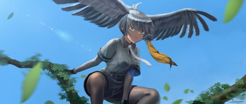 1girl arm_support bangs belt bird_wings black_gloves blue_sky bodystocking branch breast_pocket closed_mouth collared_shirt day feathered_wings fingerless_gloves floating_hair furukawa_herzer gloves grey_necktie grey_shirt grey_shorts head_wings highres kemono_friends leaf lens_flare long_hair looking_afar low_ponytail motion_blur multicolored_hair necktie orange_hair outdoors outstretched_wings pocket shirt shoebill_(kemono_friends) short_sleeves shorts side_ponytail silver_hair sky solo squatting wind wind_lift wing_collar wings