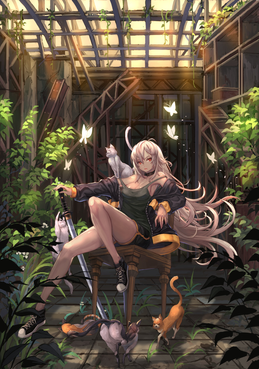 1girl absurdres bangs black_footwear breasts butterfly cat chair cleavage closed_mouth converse floating_hair grass grey_hair gym_shorts hair_between_eyes highres holding holding_sword holding_weapon indoors jacket katana knee_up long_hair looking_at_viewer medium_breasts open_clothes open_jacket original overgrown planted_sword planted_weapon qbspdl red_eyes shoes shorts sitting sneakers solo strap_slip sword tank_top tsurime very_long_hair weapon