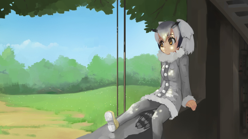 1girl bird_tail blue_sky building closed_mouth clouds coat day feathers fur_trim gradient_hair grass grey_coat grey_hair grey_legwear hair_between_eyes head_wings highres kemono_friends long_sleeves looking_away looking_to_the_side multicolored_hair northern_white-faced_owl_(kemono_friends) outdoors paintrfiend pantyhose path pom_pom_(clothes) road rope shoes short_hair sitting sky solo striped_tail tail tree tree_shade under_tree yellow_eyes yellow_shoes