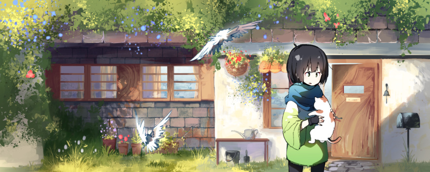 androgynous bell bird black_gloves black_hair blue_scarf bucket day fingerless_gloves flower gloves grass holding_cat house jinsuono_shenqi mailbox open_door original outdoors plant potted_plant scarf scenery solo watering_can wide_sleeves window