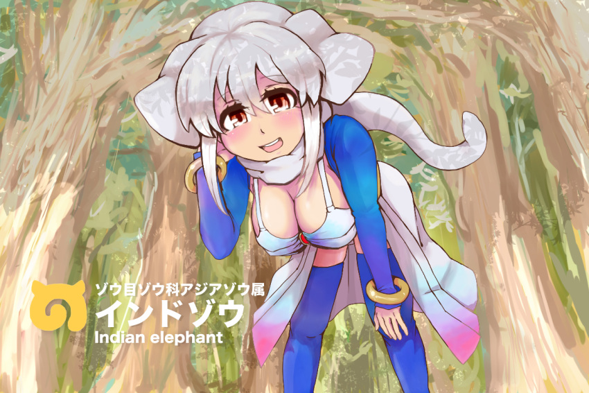 1girl animal_ears arm_support bikini blue_legwear breasts character_name cleavage cowboy_shot day detached_sleeves elephant_ears eyebrows_visible_through_hair grey_hair hair_between_eyes hand_on_own_cheek hand_on_own_knee hand_up indian_elephant_(kemono_friends) japari_symbol johnny_teatime kemono_friends leaning_forward long_hair looking_at_viewer open_mouth outdoors red_eyes scarf skirt smile solo standing swimsuit thigh-highs