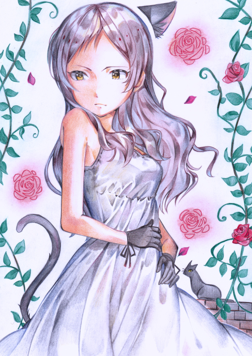 1girl animal_ears black_gloves blush breasts brown_eyes brown_hair cat cat_ears cat_tail colored_pencil_(medium) flower gloves highres idolmaster idolmaster_million_live! kitazawa_shiho long_hair looking_away medium_breasts rose solo tail traditional_media yuru_mame