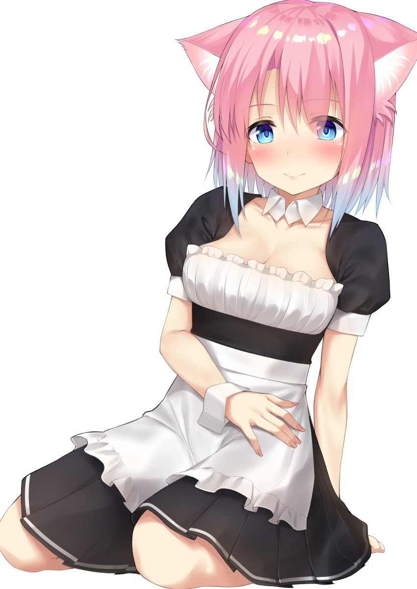 1girl absurdres animal_ears apron bangs blue_eyes blue_hair blush breasts cat_ears cleavage closed_mouth eyebrows_visible_through_hair frilled_apron frills go-1 gradient_hair highres looking_at_viewer maid medium_breasts multicolored_hair original pink_hair puffy_short_sleeves puffy_sleeves short_hair short_sleeves sidelocks simple_background sitting solo tareme white_background wrist_cuffs yokozuwari