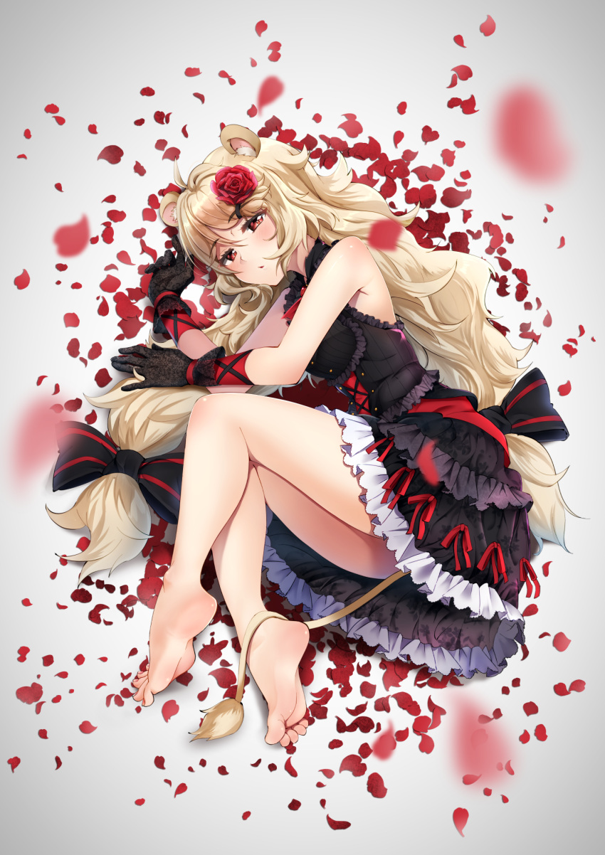 1girl ahoge ailane_(show_by_rock!!) animal_ears bare_legs bare_shoulders barefoot black_bow black_dress black_gloves blonde_hair blurry blush bow casino_(casinoep) depth_of_field dress fetal_position flower frilled_dress frills full_body gloves grey_background hair_bow hair_flower hair_ornament highres layered_dress lion_ears lion_tail lolita_fashion long_hair looking_at_viewer low-tied_long_hair low_twintails parted_lips petals red_eyes red_rose rose rose_petals show_by_rock!! simple_background sleeveless sleeveless_dress soles solo tail thighs toes twintails very_long_hair x_hair_ornament