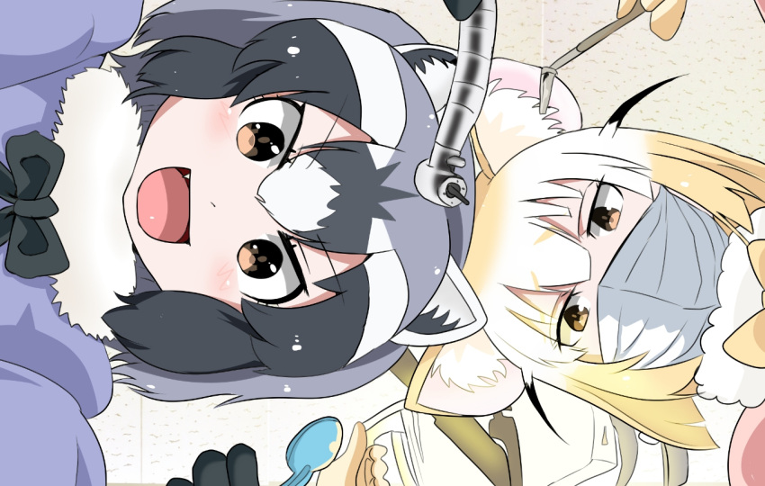 2girls :d animal_ears black_gloves black_hair black_neckwear blonde_hair blush bow bowtie brown_eyes ceiling common_raccoon_(kemono_friends) dentist fang fennec_(kemono_friends) fox_ears from_behind fur_collar gloves grey_hair holding kemono_friends looking_at_viewer looking_down multicolored_hair multiple_girls open_mouth raccoon_ears sayamagi_kei short_hair smile surgical_mask upper_body v-shaped_eyebrows white_hair yellow_gloves yellow_neckwear