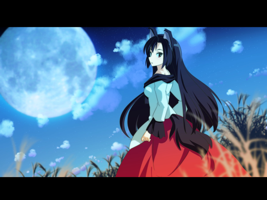 1girl animal_ears black_hair cato_(monocatienus) clouds commentary_request dress full_moon grass imaizumi_kagerou letterboxed long_dress long_hair long_sleeves looking_at_viewer looking_back moon night outdoors red_eyes sky solo star_(sky) starry_sky tail touhou wolf_ears wolf_tail