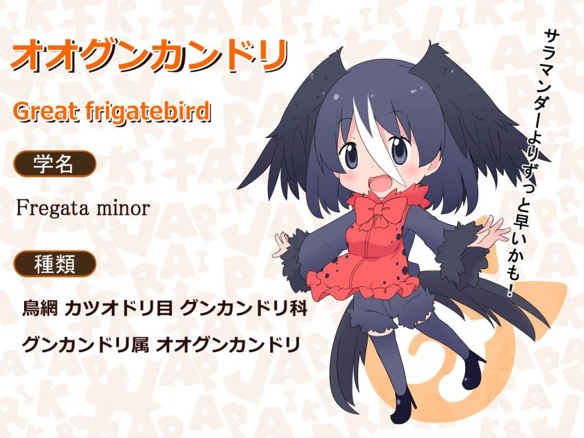 1girl :d black_eyes black_hair black_legwear blush bow bowtie character_name eyebrows_visible_through_hair full_body fur-trimmed_sleeves fur_collar fur_trim hair_between_eyes head_wings high_heels highres japari_symbol kemono_friends long_sleeves looking_at_viewer makuran multicolored_hair open_mouth original outstretched_arms red_apron red_neckwear scientific_name shorts smile solo spread_arms tail_feathers thigh-highs white_hair wide_sleeves