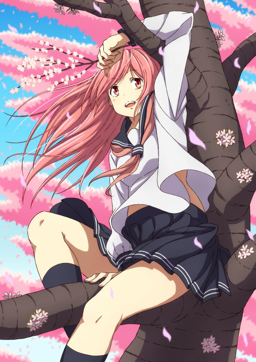 1girl :d arm_up belly_peek between_legs black_legwear blue_skirt blue_sky branch breasts cherry_blossoms clouds commentary day eyebrows_visible_through_hair feet_out_of_frame flower hand_between_legs highres holding_branch in_tree kneehighs legs legs_crossed light_smile long_hair looking_away medium_breasts neckerchief open_mouth original outdoors petals pink_eyes pink_hair pink_neckwear pleated_skirt school_uniform serafuku shirt sitting sitting_in_tree skirt sky smile solo straddling tree untucked white_shirt wind wind_lift you_(maumauyo)