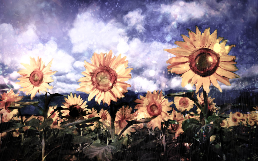 akyuun clouds cloudy_sky commentary day flower garden_of_the_sun landscape lens_flare no_humans outdoors scenery sky sunflower touhou