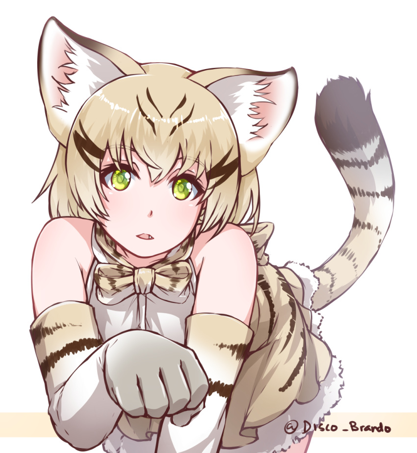 1girl all_fours animal_ears cat_ears cat_tail commentary disco_brando elbow_gloves fang gloves green_eyes kemono_friends looking_at_viewer parted_lips paw_pose sand_cat_(kemono_friends) sand_cat_print short_hair silver_hair simple_background solo tail twitter_username white_background