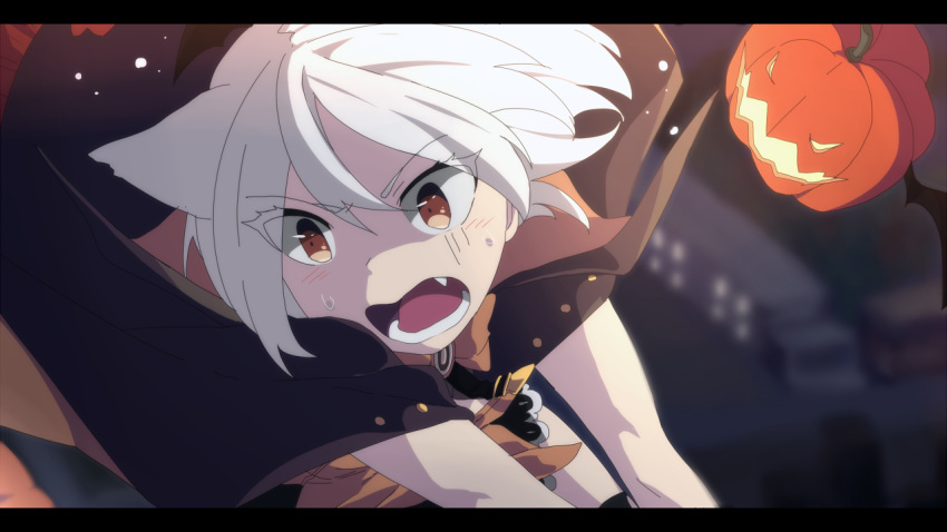 1girl animal_ears anime_coloring azur_lane brown_eyes cape eyebrows_visible_through_hair eyes_visible_through_hair fang flying jack-o'-lantern letterboxed mugino open_mouth pumpking short_hair shouhou_(azur_lane) solo sweatdrop white_hair