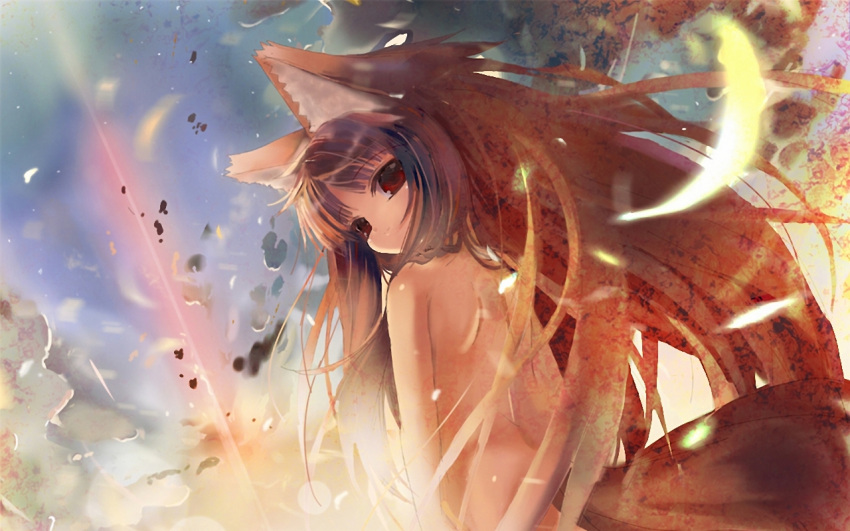 holo spice_and_wolf tagme wolfgirl