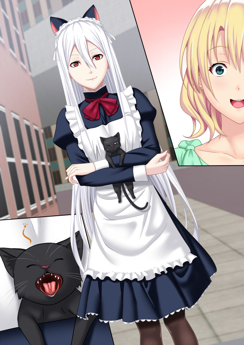 2girls animal animal_ears apron black_cat blonde_hair blue_eyes blush breasts cat cat_ears commentary_request dress eyebrows_visible_through_hair fake_animal_ears frills hair_between_eyes highres long_hair long_sleeves looking_at_viewer maid maid_headdress multiple_girls open_mouth original puffy_sleeves red_eyes short_hair silver_hair smile standing surprised tawagoto_dukai_no_deshi thigh-highs waist_apron