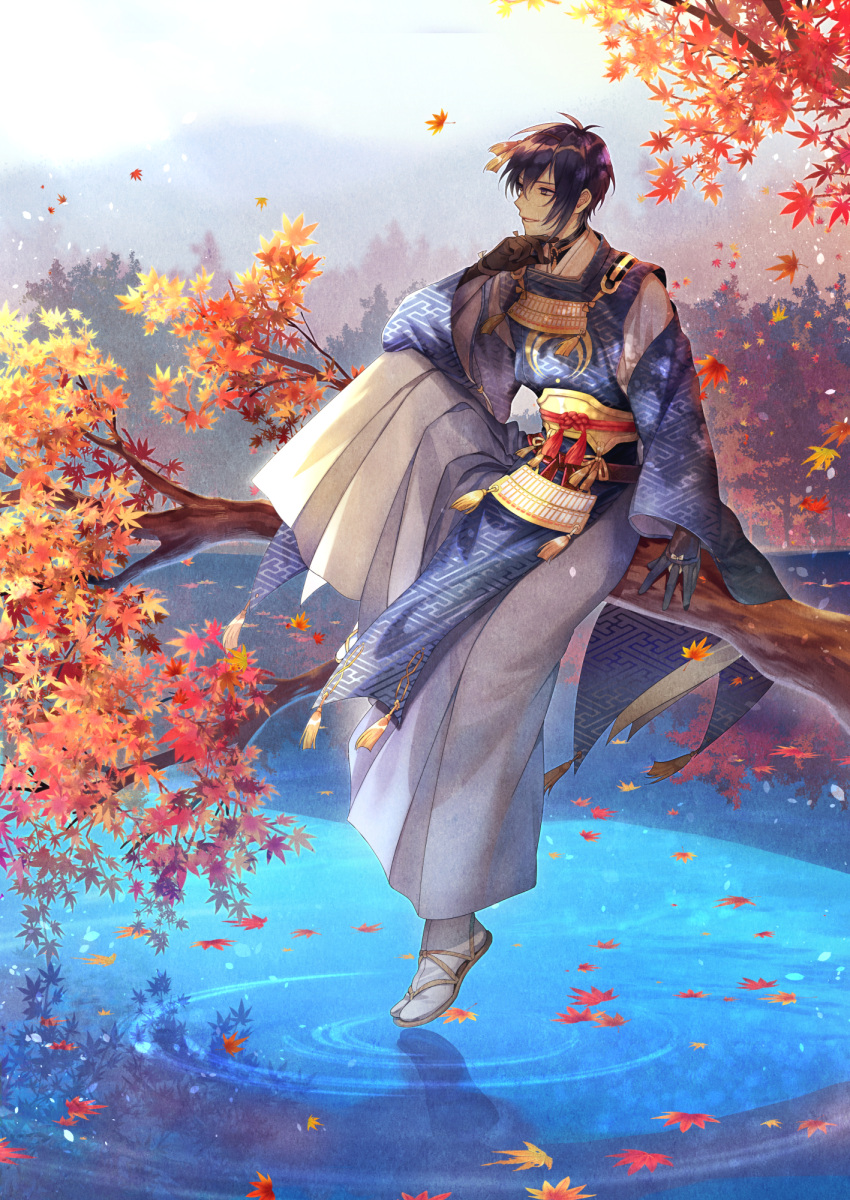 1boy autumn_leaves black_gloves blue_eyes blue_hair branch gloves hakama highres in_tree japanese_clothes leaf male_focus mikazuki_munechika sandals sayagata sitting smile tabi touken_ranbu tree water yuki-bayashi