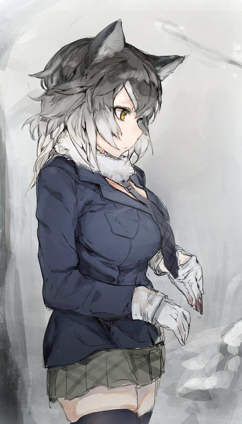 1girl absurdres animal_ears bangs black_legwear blue_eyes blue_jacket blue_neckwear breasts closed_mouth cowboy_shot eyebrows_visible_through_hair from_side fur_collar fur_trim gloves grey_hair grey_skirt grey_wolf_(kemono_friends) hair_between_eyes heterochromia highres hiranko jacket kemono_friends large_breasts long_hair long_sleeves looking_down necktie pleated_skirt skirt solo standing thigh-highs white_gloves wolf_ears yellow_eyes zettai_ryouiki