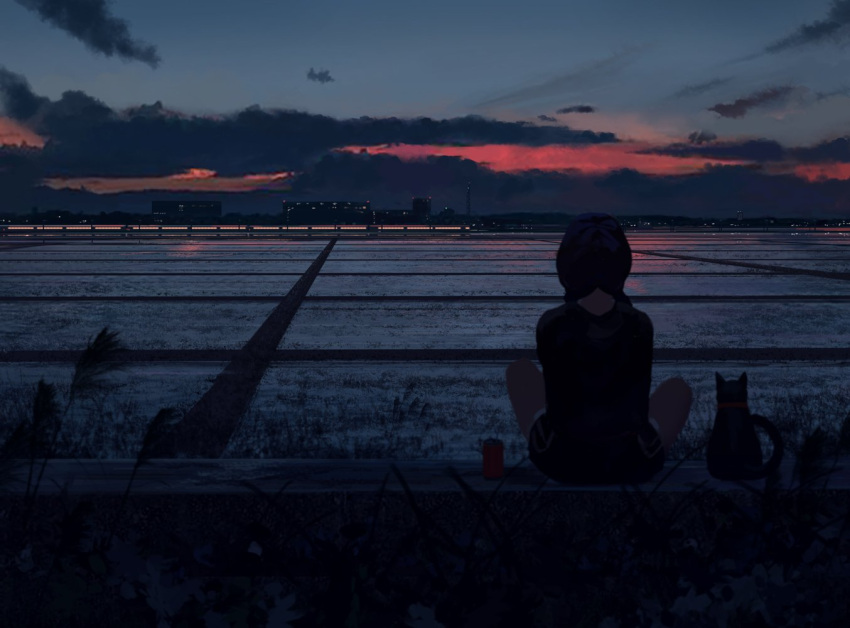 1girl black_hair can cat city clouds cloudy_sky facing_away from_behind grass guweiz indian_style long_hair original outdoors rice_paddy shirt short sitting sky solo sunset twilight twintails