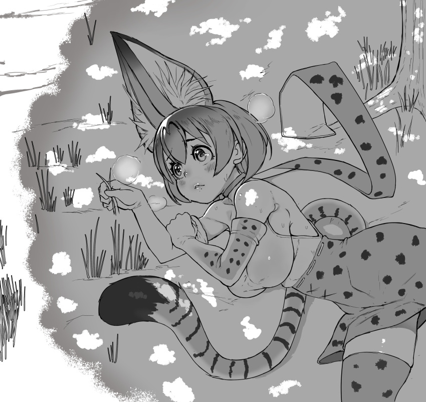 1girl absurdres animal_ears bare_shoulders blush breasts collarbone day elbow_gloves eyebrows eyebrows_visible_through_hair gloves grass greyscale hand_on_own_arm hands_up high-waist_skirt highres kemono_friends lips looking_afar lying megapai monochrome on_ground on_side outdoors parted_lips print_gloves print_skirt scarf serval_(kemono_friends) serval_ears serval_print serval_tail shirt short_hair skirt sleeveless sleeveless_shirt solo striped_tail sweat tail thigh-highs tree_shade zettai_ryouiki