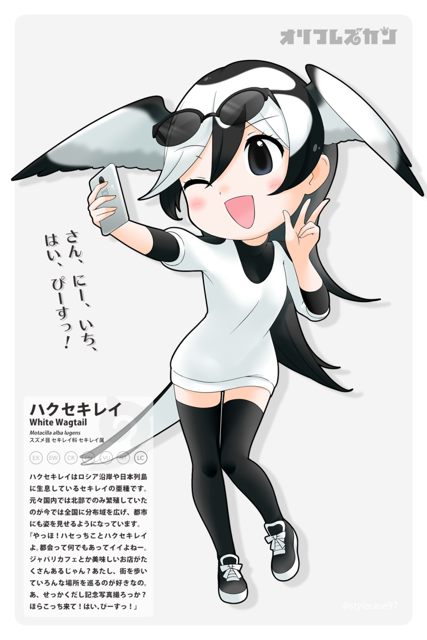 ! 1girl black_hair blush cellphone character_name eyewear_on_head feathered_wings full_body highres japari_symbol kemono_friends long_hair multicolored_hair one_eye_closed open_mouth original phone scientific_name smartphone solo stylecase thigh-highs two-tone_hair white_hair white_wagtail white_wagtail_(kemono_friends) wings yoshizaki_mine_(style)