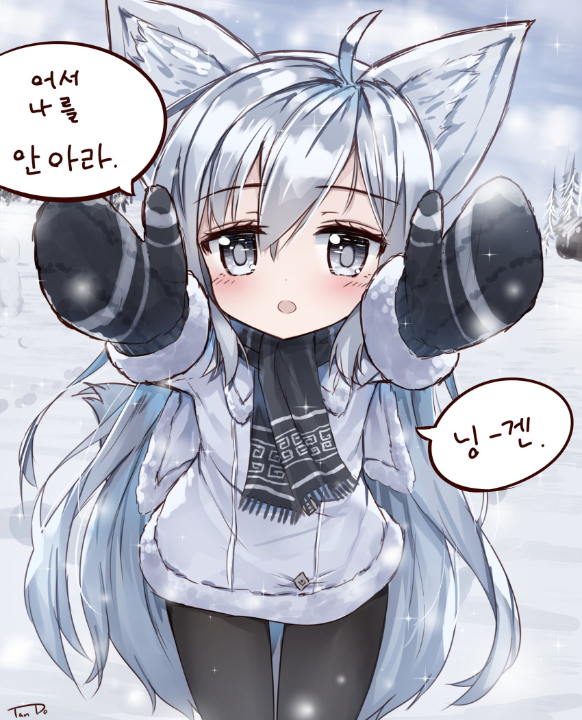 1girl :o absurdres ahoge animal_ears bangs black_legwear black_mittens black_scarf blade_&amp;_soul blush coat commentary_request day eyebrows_visible_through_hair fox_ears fringe fur-trimmed_sleeves fur_trim grey_capelet grey_coat grey_eyes hair_between_eyes highres korean long_hair looking_at_viewer lyn_(blade_&amp;_soul) mittens outdoors outstretched_arms pantyhose parted_lips reaching_out scarf signature silver_hair snow solo tandohark translation_request very_long_hair winter_clothes winter_coat
