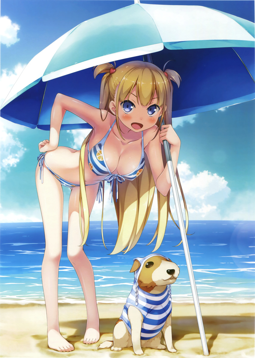 1girl :d absurdres alice_third_macy animal bare_legs barefoot beach beach_umbrella bent_over bikini blonde_hair blue_eyes blush breasts cleavage clothed_animal collarbone cropped day dog feet front-tie_top full_body hand_on_hip highres kantoku koi_suru_kanojo_no_bukiyou_na_butai lens_flare long_hair looking_at_viewer medium_breasts navel open_mouth outdoors pigeon-toed scan side-tie_bikini smile solo striped striped_bikini striped_swimsuit swimsuit toes two_side_up umbrella very_long_hair
