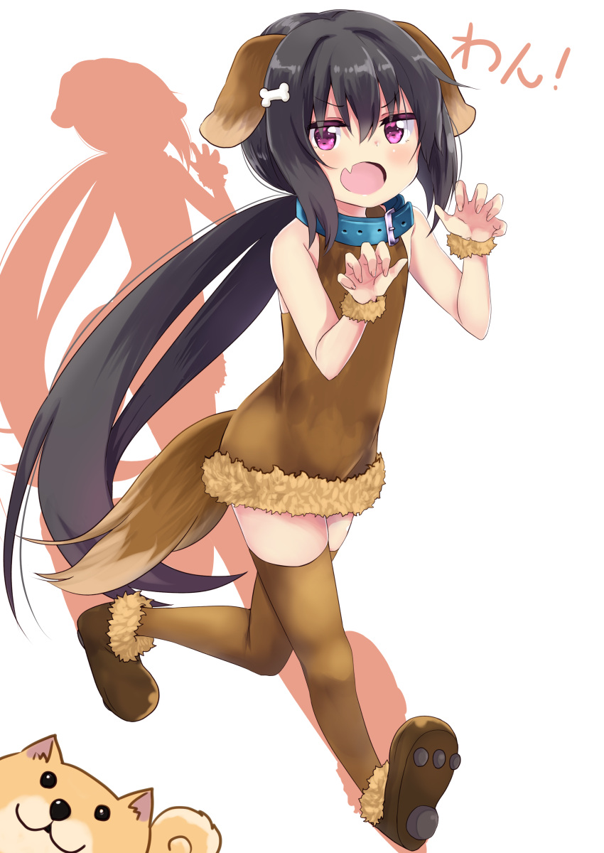 1girl absurdres amano_kouki animal animal_ears bangs bare_shoulders black_hair blue_collar bone_hair_ornament brown_dress brown_footwear brown_legwear claw_pose collar commentary_request dog dog_collar dog_ears dog_girl dog_tail dress eyebrows_visible_through_hair fang fur-trimmed_dress hair_between_eyes highres kemonomimi_mode long_hair looking_at_viewer low_ponytail note-chan open_mouth original ponytail shoes short_dress solo tail thigh-highs very_long_hair violet_eyes white_background