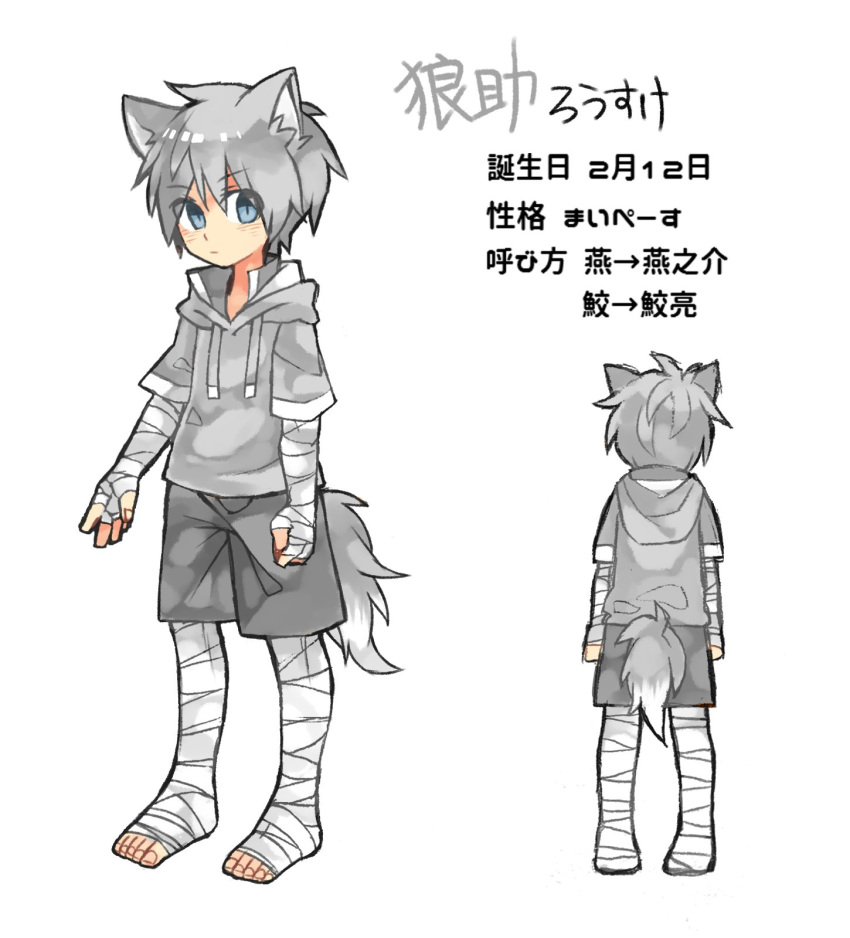 1boy animal_ears bandage bandaged_arm bandaged_leg barefoot blue_eyes character_profile character_sheet drawstring eyebrows_visible_through_hair grey_hoodie grey_shorts highres hood hood_down hoodie male_focus original shorts silver_hair slit_pupils touyama_(t3yama2) translated wolf wolf_ears