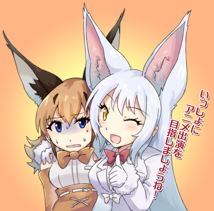 2girls ;d animal_ears arm_around_shoulder bangs bare_shoulders belt black_hair blue_eyes blush bow caracal_(kemono_friends) caracal_ears elbow_gloves eyebrows eyebrows_visible_through_hair eyelashes fox_ears fur_trim gloves gradient gradient_background hair_between_eyes high-waist_skirt highres jacket kemono_friends long_hair long_sleeves looking_at_another looking_at_viewer multicolored multicolored_background multicolored_hair multiple_girls oinari-sama_(kemono_friends) one_eye_closed open_mouth orange_background orange_bow orange_gloves orange_hair orange_neckwear orange_skirt pocket red_bow red_neckwear sakuragi_rian shirt short_hair skirt sleeveless sleeveless_shirt smile sweat text thumbs_up tongue translation_request tsurime turn_pale two-tone_hair uneven_eyes upper_body white_belt white_bow white_gloves white_jacket white_shirt yellow_background