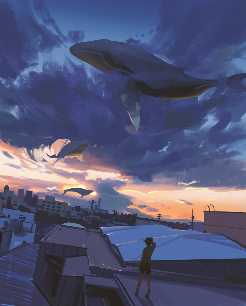 animal blue_whale clouds dutch_angle floating highres kimi_no_na_wa scenery shirt shorts sky snatti standing twilight whale