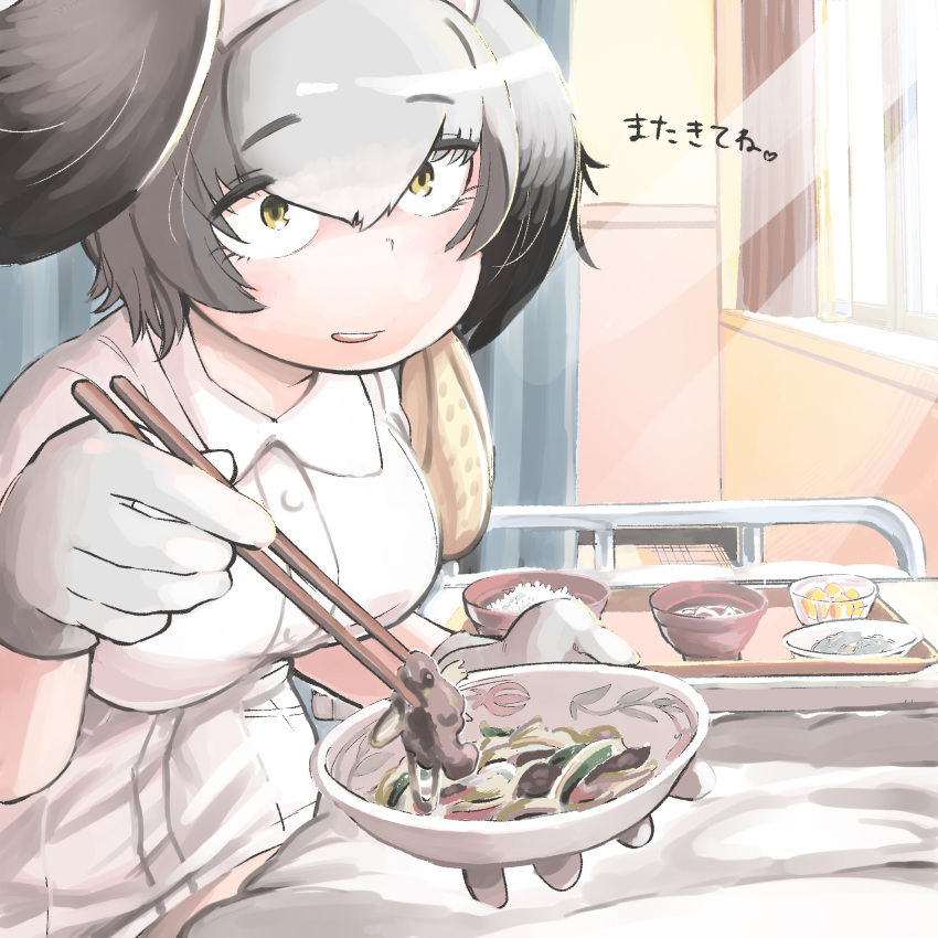 1girl :d bed bowl breasts chopsticks commentary_request curtains eyebrows_visible_through_hair feeding food gloves gradient_hair grey_hair hair_between_eyes hare_(tetterutei) head_wings highres holding holding_bowl hospital hospital_bed indoors kemono_friends large_breasts light_rays looking_at_viewer multicolored_hair nurse open_mouth parted_lips pov pov_feeding privacy_screen rice round_teeth sanpaku shoebill_(kemono_friends) short_hair silver_hair smile solo teeth translation_request tray white_gloves window wing_collar yellow_eyes