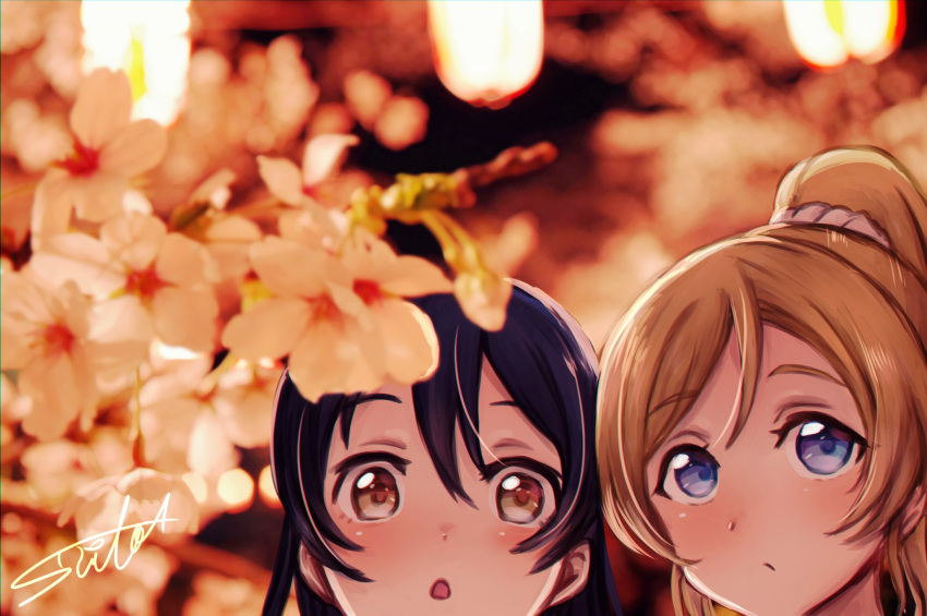 2girls ayase_eli bangs blonde_hair blue_eyes blue_hair blush cherry_blossoms close-up commentary_request flower hair_between_eyes highres long_hair love_live! love_live!_school_idol_project multiple_girls open_mouth ponytail signature sonoda_umi suito yellow_eyes
