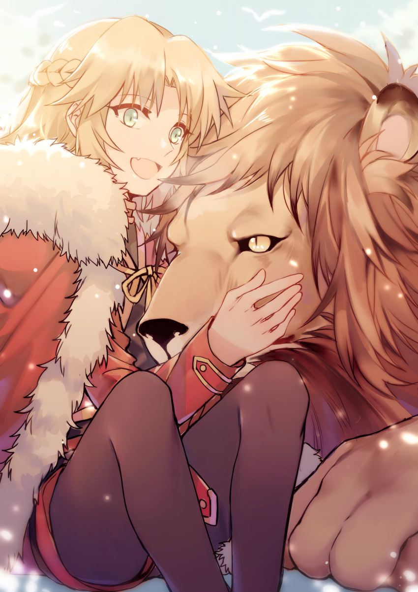 1girl :d absurdres animal bangs black_legwear black_shirt black_shorts blonde_hair braid cloak eyebrows_visible_through_hair fang fate/grand_order fate_(series) fur-trimmed_cloak green_eyes highres jacket lion long_sleeves looking_away mordred_(fate) mordred_(fate)_(all) open_mouth pantyhose red_cloak red_jacket red_ribbon ribbon shirt short_shorts shorts sitting smile solo yellow_eyes yorukun